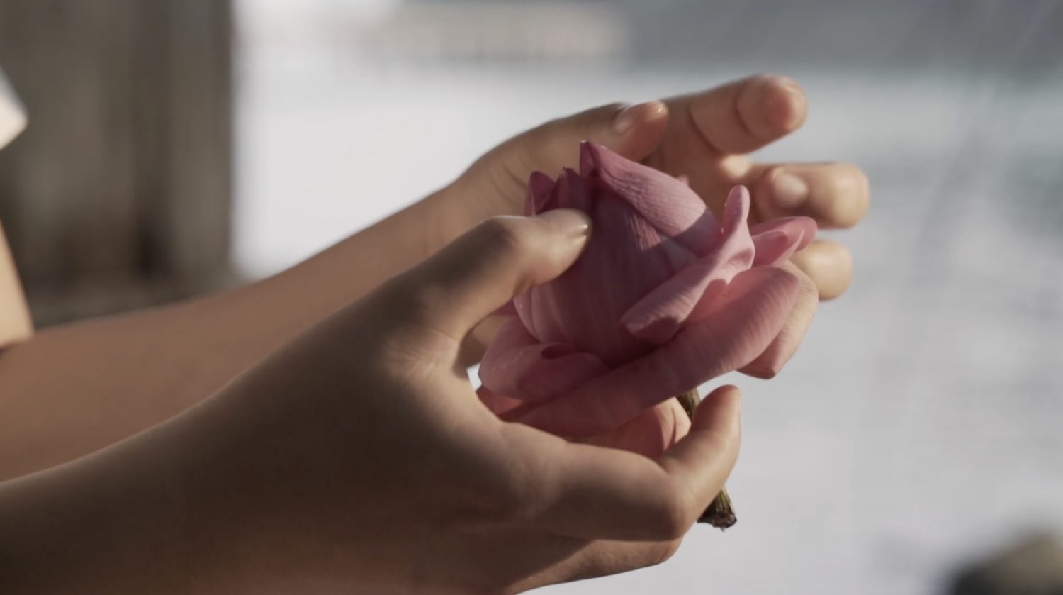 A lotus held in both hands