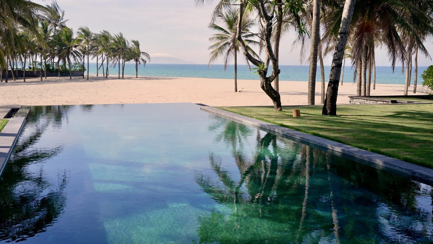 The pool framed by palms, the sea beyond