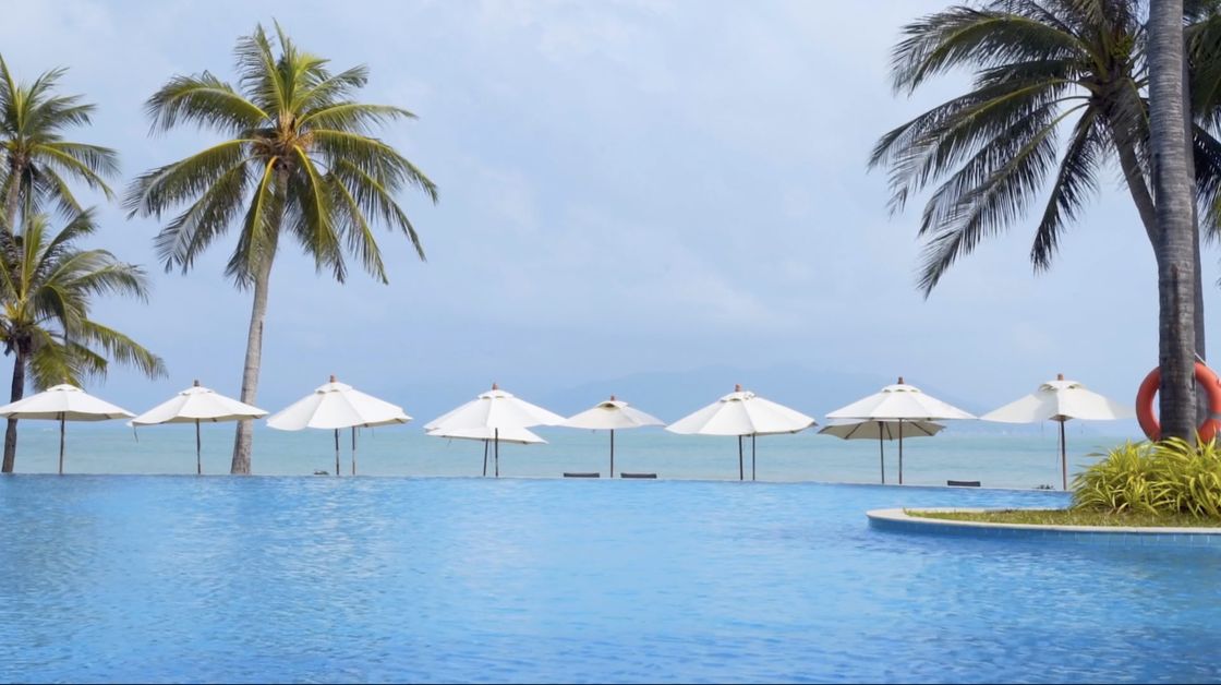 The beachfront infinity pool, palms and the Gulf beyond