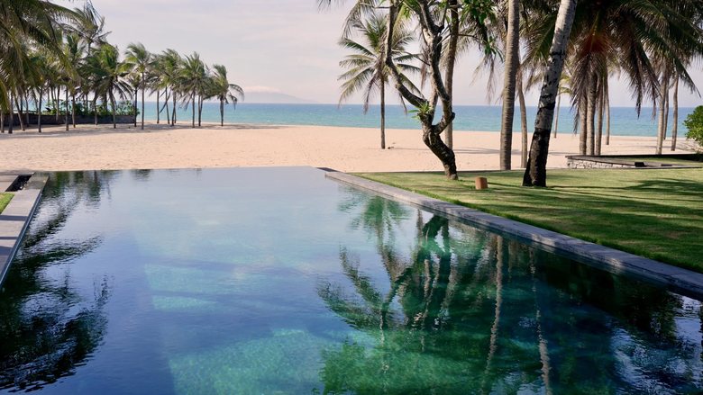Infinity pool and palms