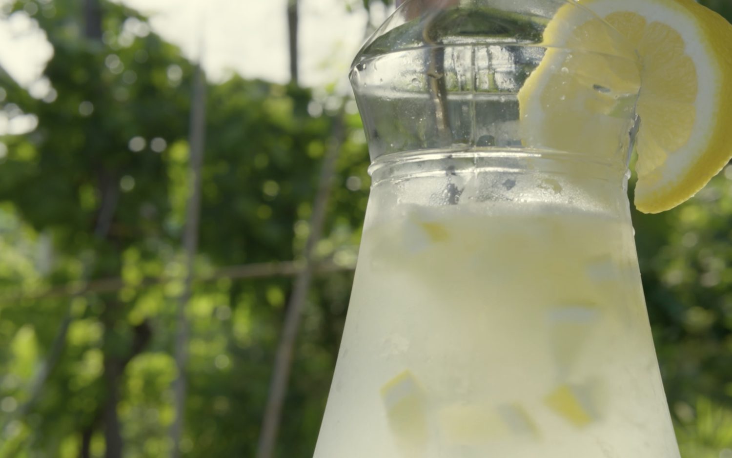 Lemonade poured in the shade of the lemon grove